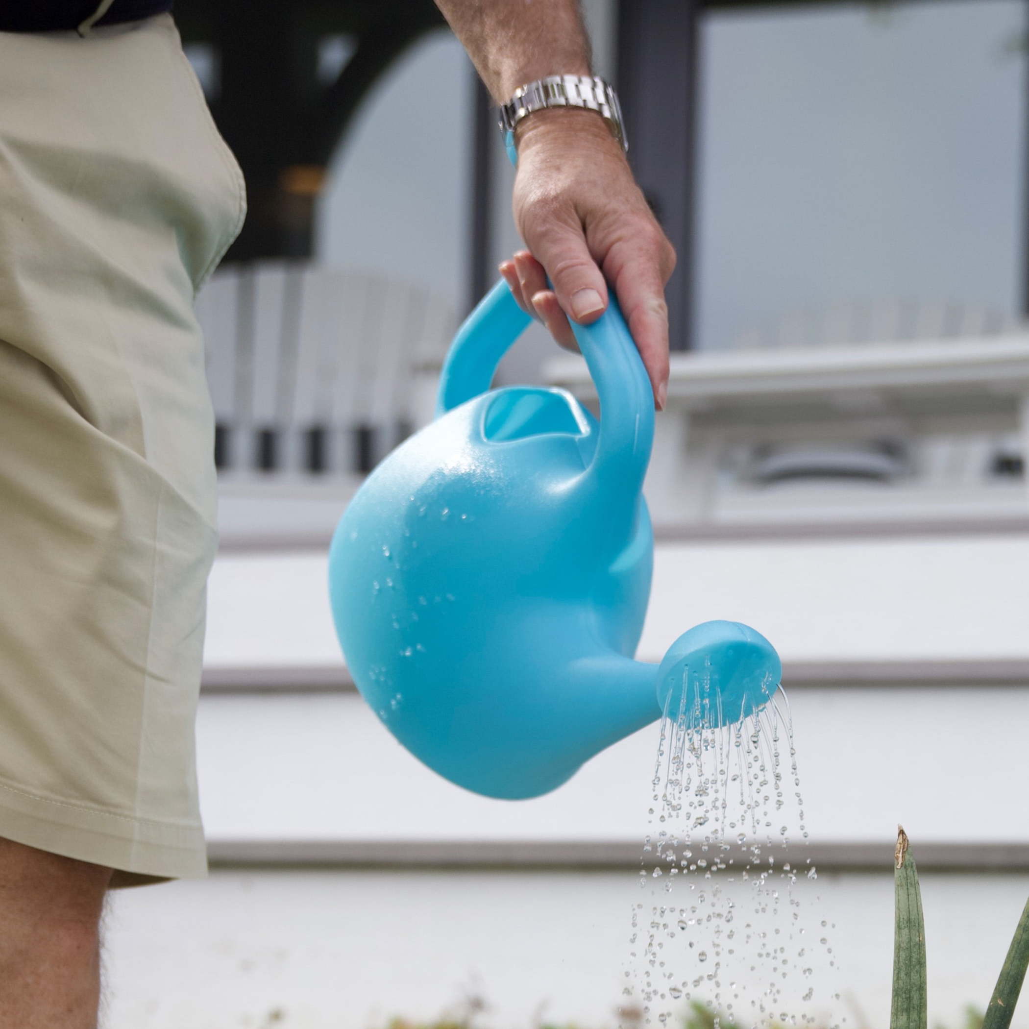 Bloem Translucent Plastic Watering Can 1 Gallon Bluebonnet photo 2