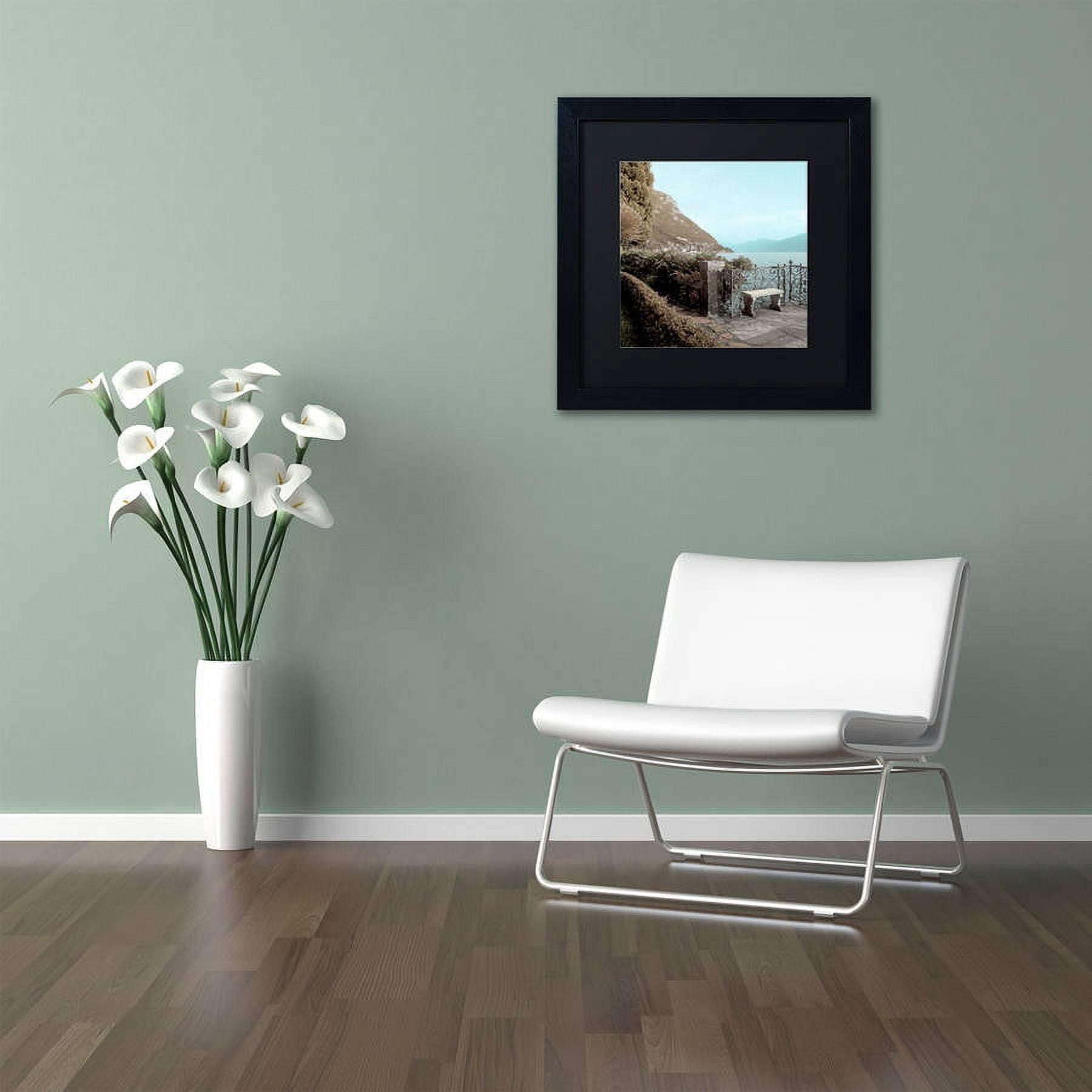 Trademark Fine Art "Lake Vista IV" Canvas Art by Alan Blaustein, Black Matte, Black Frame