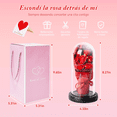 thumbnail image 4 of Vaso De Regalo De San Valentín Flor Eterna 7 Rosas Con Luces roses, 4 of 5