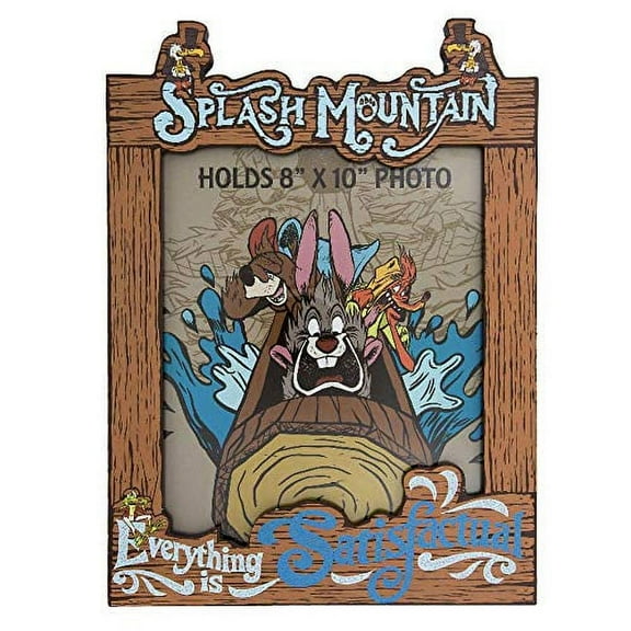 Disney Parks Splash Mountain 8"x10" Photo Picture Frame hard to find