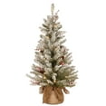 thumbnail image 4 of National Tree Company 3 ft. Dunhill Fir® Tree with 35 Warm White LED Lights, 4 of 5