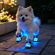 Light Up Shoes for Dogs,4Pcs LED Glowing Pet Boots with Breathable Mesh Upper,Keeps Dog Dry and Comfortable for Small Medium Pets, Blue Size6