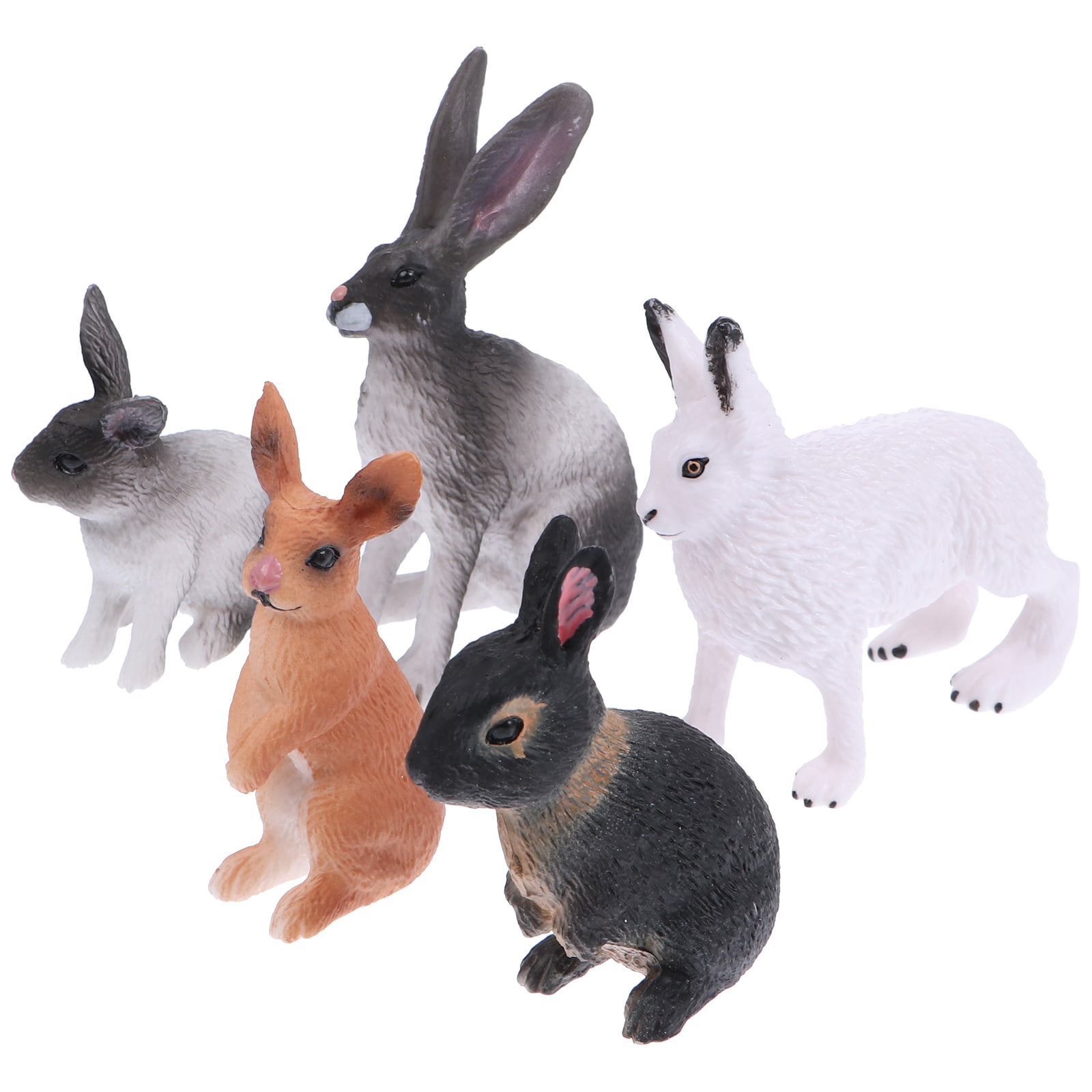 Rabbit Model Educational Instrument Simulation Realistic Figurines 