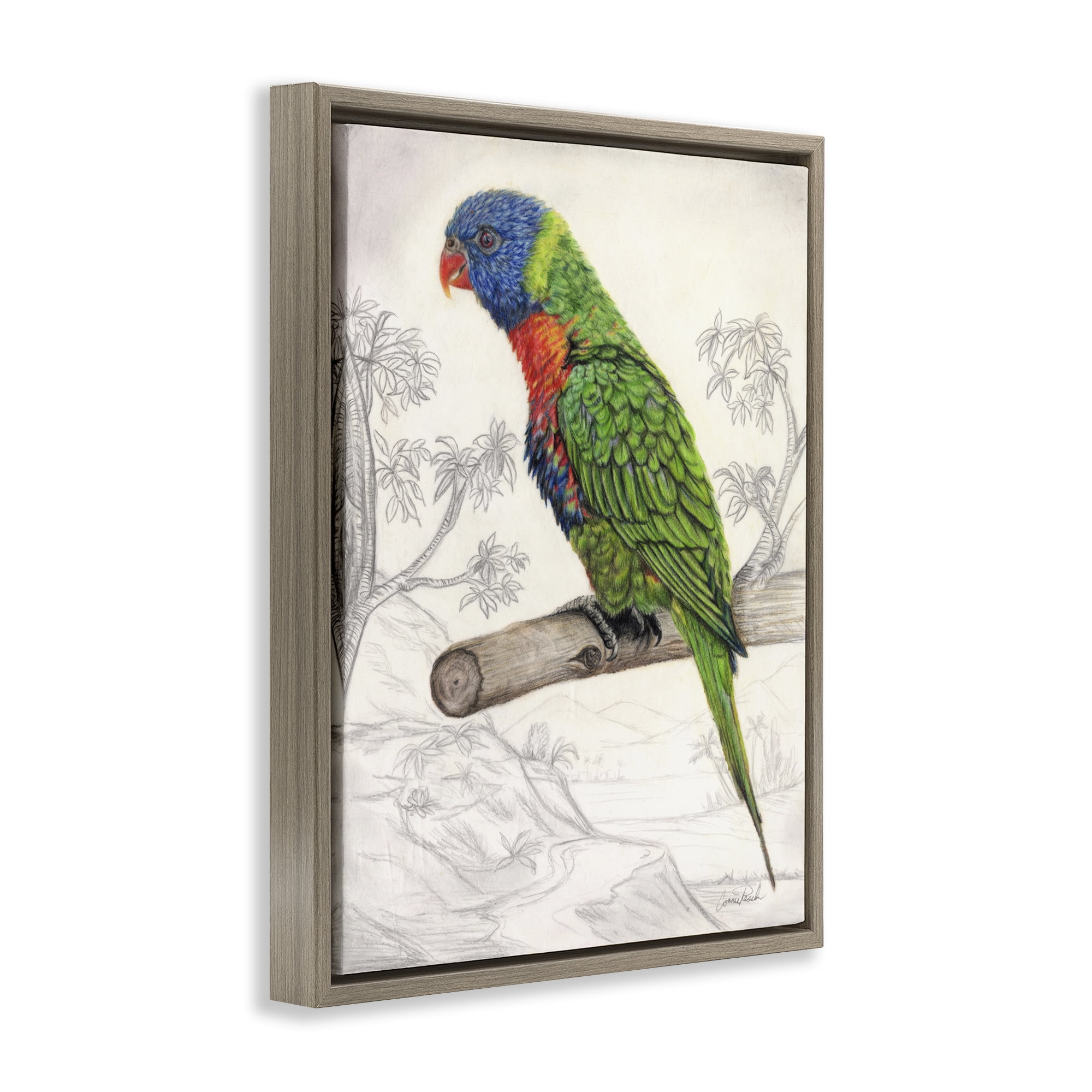Stupell Industries Lorikeet Sketched Nature Animals & Insects Painting Brown Floater Framed Canvas Art Print Wall Art, 17 x 21