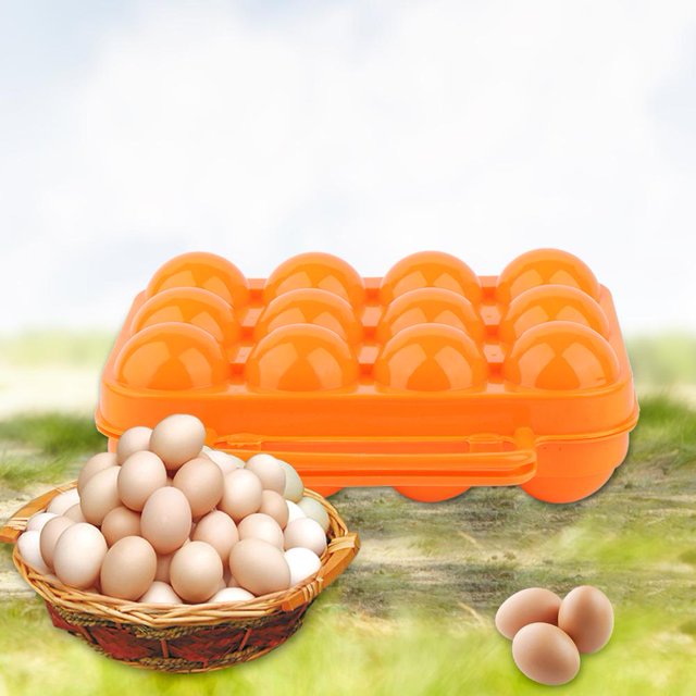 TOPINCN Eggs Holder,Double Side Plastic Egg Tray Storage Box Case Holder Container with Handle for 12 Egg, Eggs Container