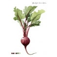 thumbnail image 3 of Popp, Grace 15x18 Black Modern Framed Museum Art Print Titled - Root Vegetable II, 3 of 5