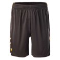 thumbnail image 1 of Huari - Pantalones Cortos Dunkey II Diseño Logotipo para Hombre (Frijol Negro, Varilla de Oro), 1 of 3