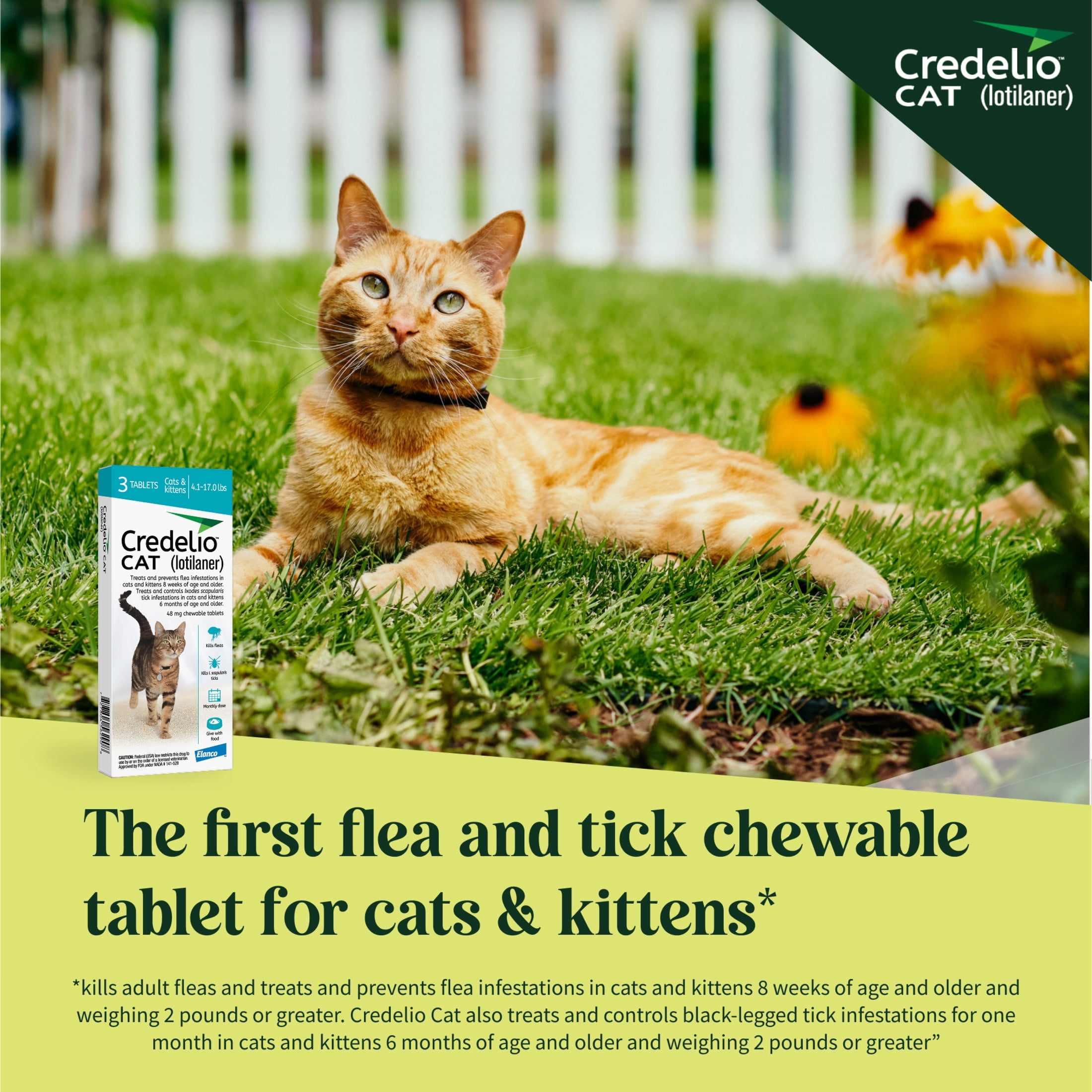 Credelio CAT Flea & Tick Infestation Prevention and Treatment for Cats 4.1-17 lbs. | 3-Month Supply