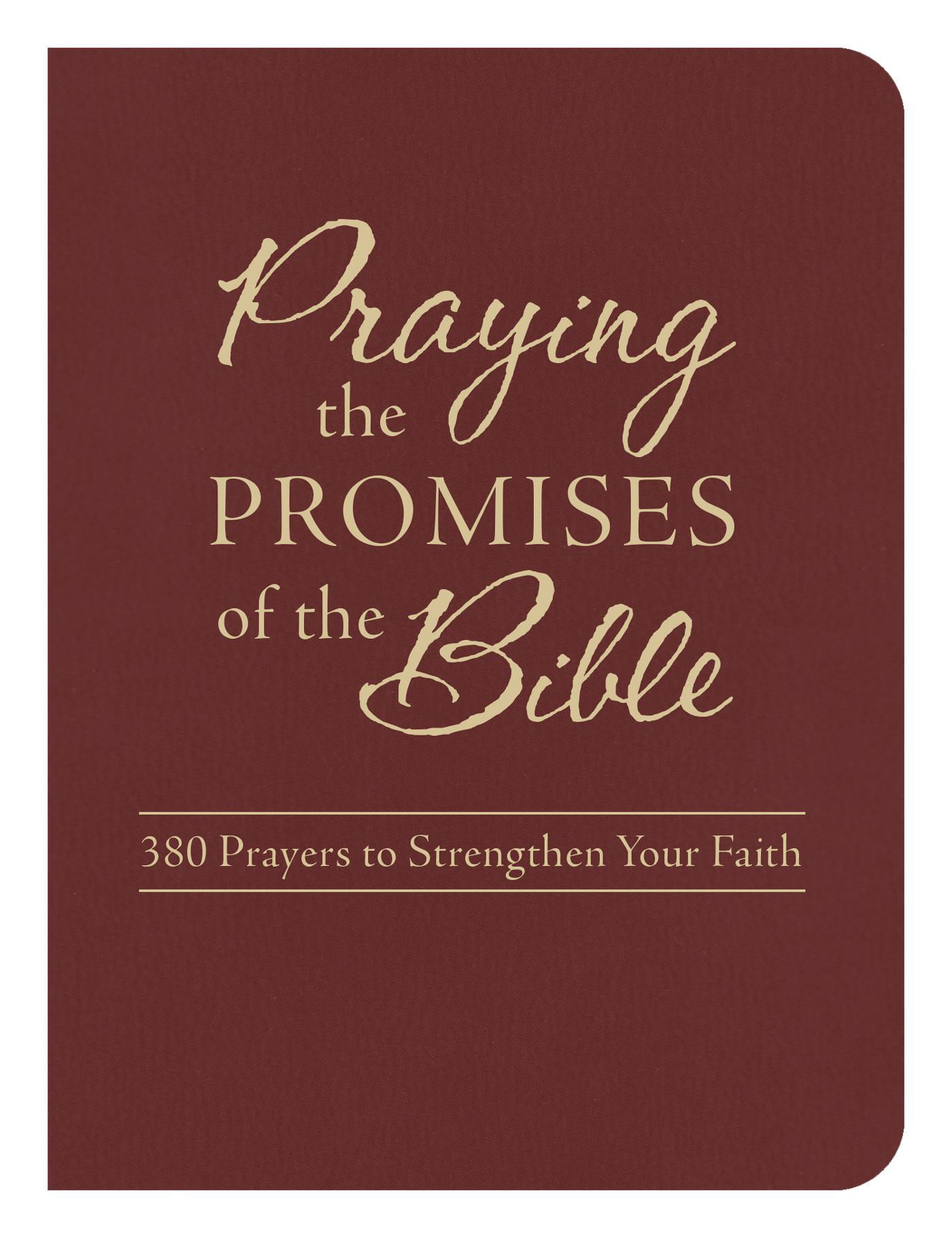 Praying the Promises of the Bible : 380 Prayers to Strengthen Your