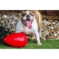 Jolly Pets Jolly Egg Dog Toy, 12 Inches/Large, Red