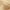 Light Blonde, variant on Revlon&#174; Colorsilk Beautiful Color&#8482; Permanent Liquid Hair color