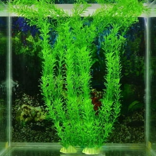 opvise Water Plants Artificial Aquariums Decoration Plastic Fake Water  Grass Accessories for Party B 