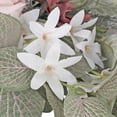 thumbnail image 2 of Marca de bienvenida europea Decoración de dintel de orquídea rosa Flores decorativas para el hogar Boda, 2 of 10