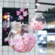 thumbnail image 5 of Bola hueca de plástico transparente para decoración de fiestas navideñas, 4 cm, 5 cm, 6 cm, 7 cm, 8 cm, 10 cm, 12 cm, 14 cm, 16 cm, 5 of 5
