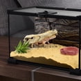 thumbnail image 4 of TABLETREANDS 1Ud Comedero Para Reptiles De Resina Imitación Color Y Estable, 4 of 8