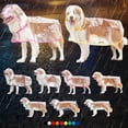 thumbnail image 2 of Xiao Hua waterproof, windproof, hooded dog raincoat suitable for small, medium, and large dogs, transparent plastic fashionable pet raincoat, 4XL size (suitable for 13-17.5kg), 1 piece, pink, 2 of 4