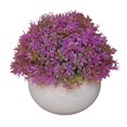 thumbnail image 1 of Bola de césped artificial en maceta, simulación de hierba, decoración de plantas, decoración de la mesa de la oficina en casa, hierba tipo 3, púrpura Advancent HA7593-05B, 1 of 6
