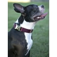 thumbnail image 3 of Country Brook Design® 1 inch Burgundy Heavy Duty Nylon Webbing, 20 Yards, 3 of 4