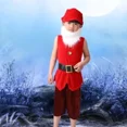 thumbnail image 3 of Ropa de cosplay de carnaval Disfraz de los siete enanitos para niños Disfraces de Navidad para niños Halloween, 3 of 5