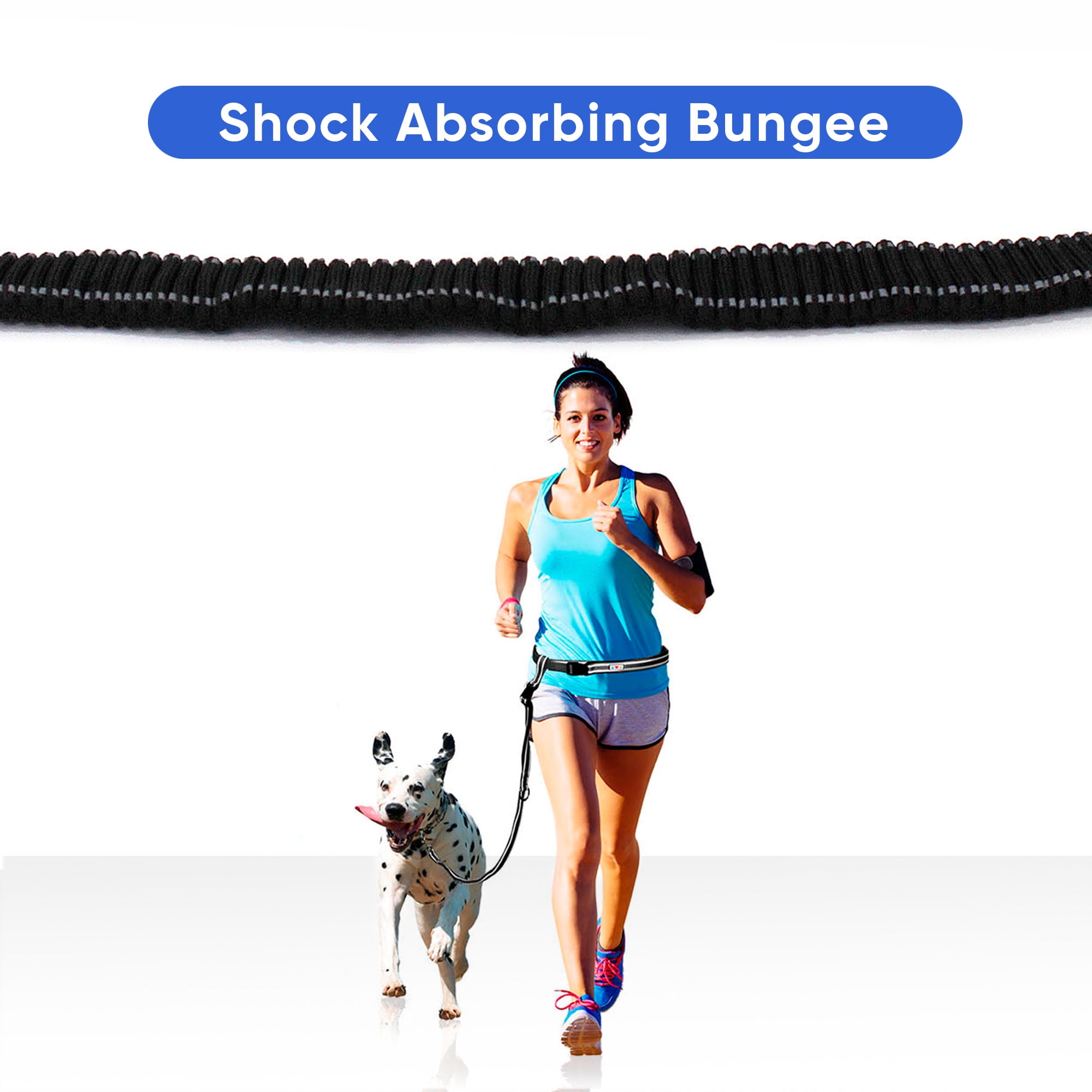 Pawtitas Dog Running Leash Hands Free for Large and Medium Dogs Reflective Dog Running Leash - Black Leash
