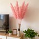 thumbnail image 5 of Paquete de 8 Tallos de Hierba Pampas Falsa con Jarrón, 32cm Ramas Florales Boho en Rosa y Blanco para Centro de Mesa de Boda, Decoración para Fiesta de Casa de Campo, 5 of 6