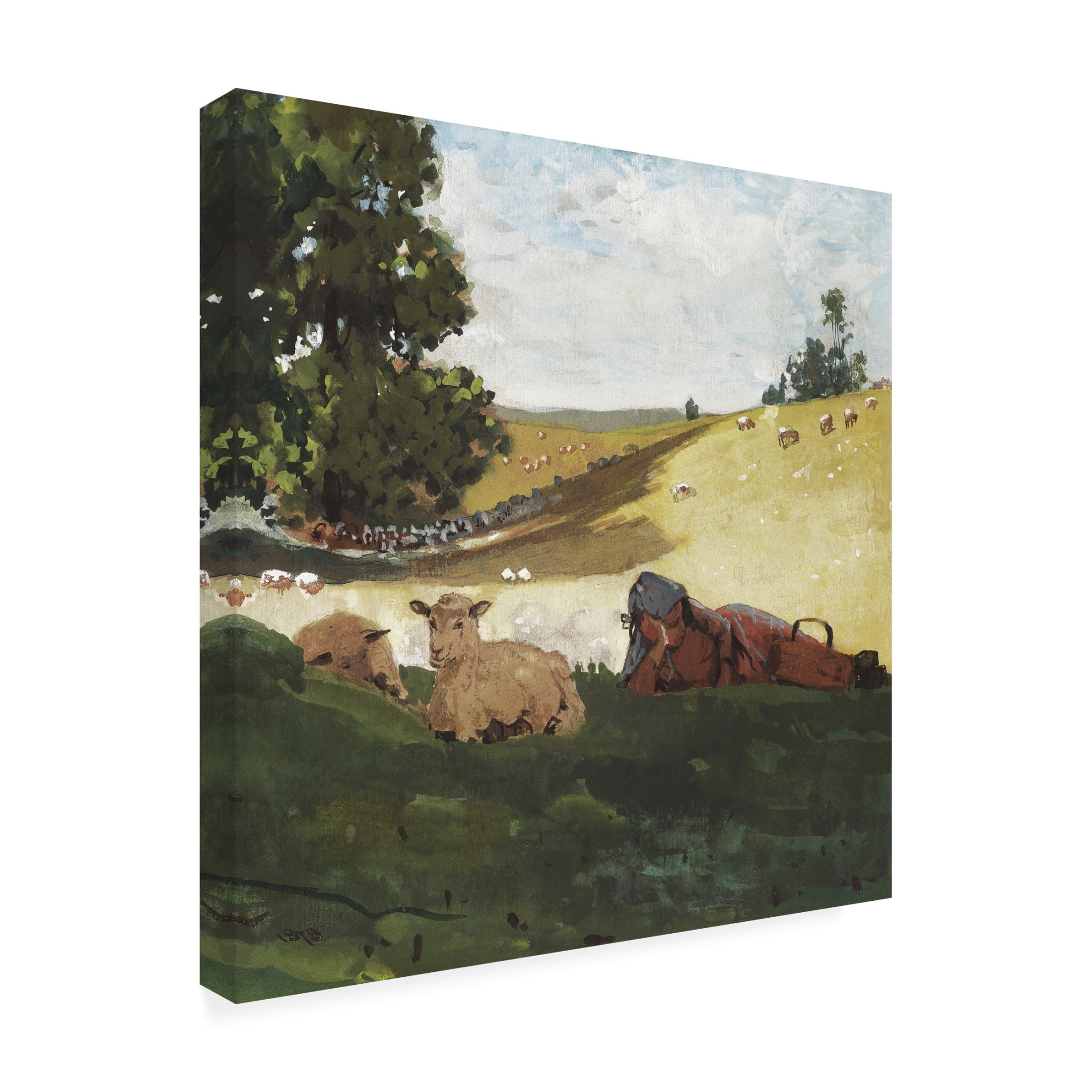 Trademark Fine Art Winslow Homer Homer's Sheep Countryside III Canvas Wall Art