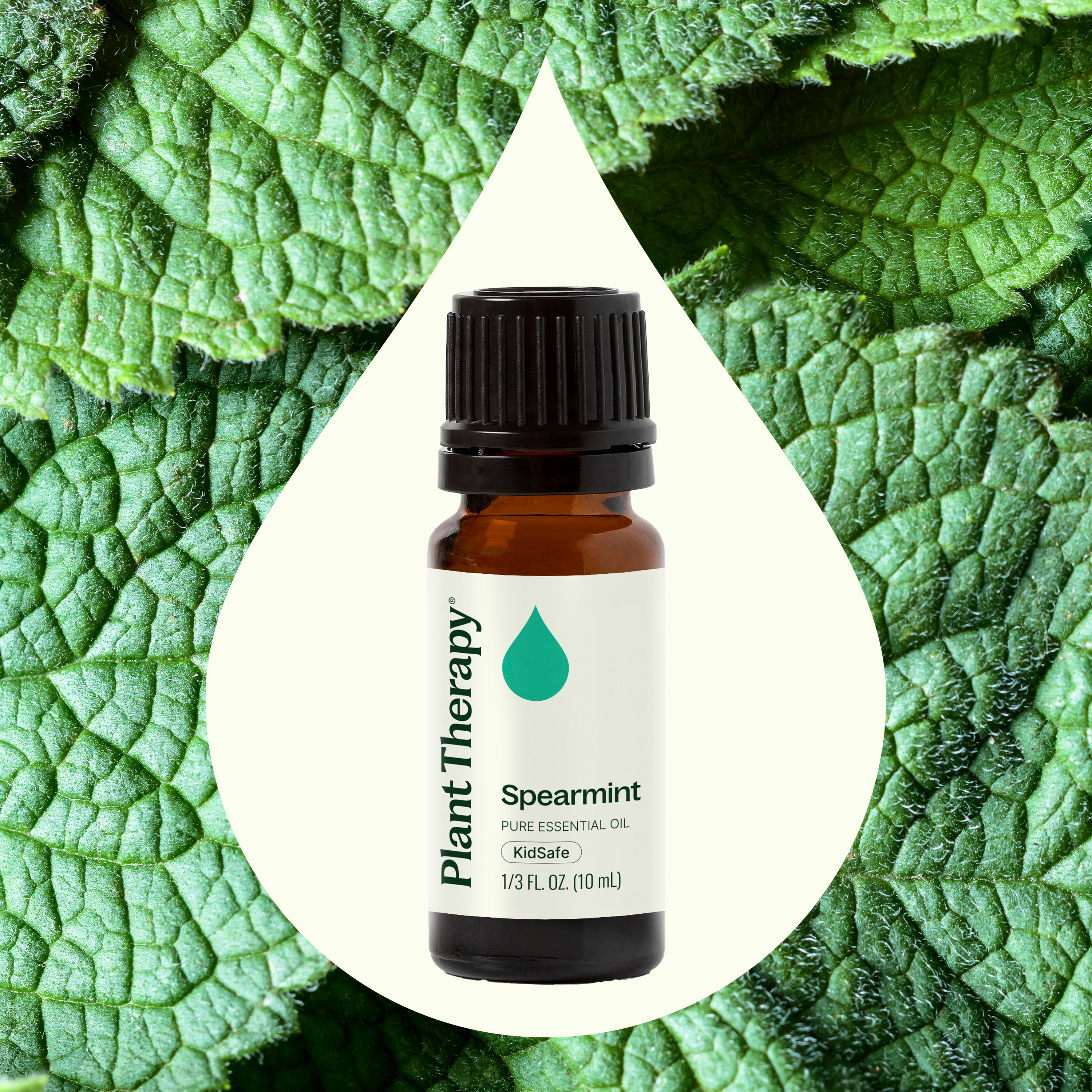 Plant Therapy Spearmint Essential Oil 10 mL (1/3 oz) 100% Pure, Undiluted, Natural Aromatherapy
