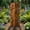 D, variant on Rustic Garden Column Natural Rustic Decor Weathered Steel Landscape Sculpture Outside Summer Art Walkway Outdoor Metal Light Cover Sculpture Modern Statues Decor