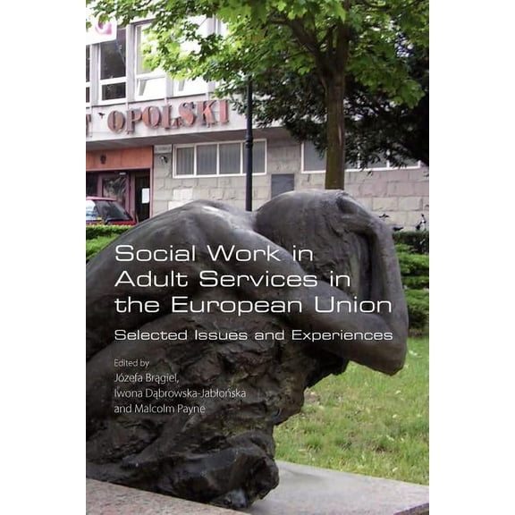 Social Work in Adult Services in the European Union. Selected Issues and Experiences (Paperback)