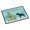 Multicolored, variant on Cane Corso Christmas Indoor or Outdoor Mat - 18 x 27 in.