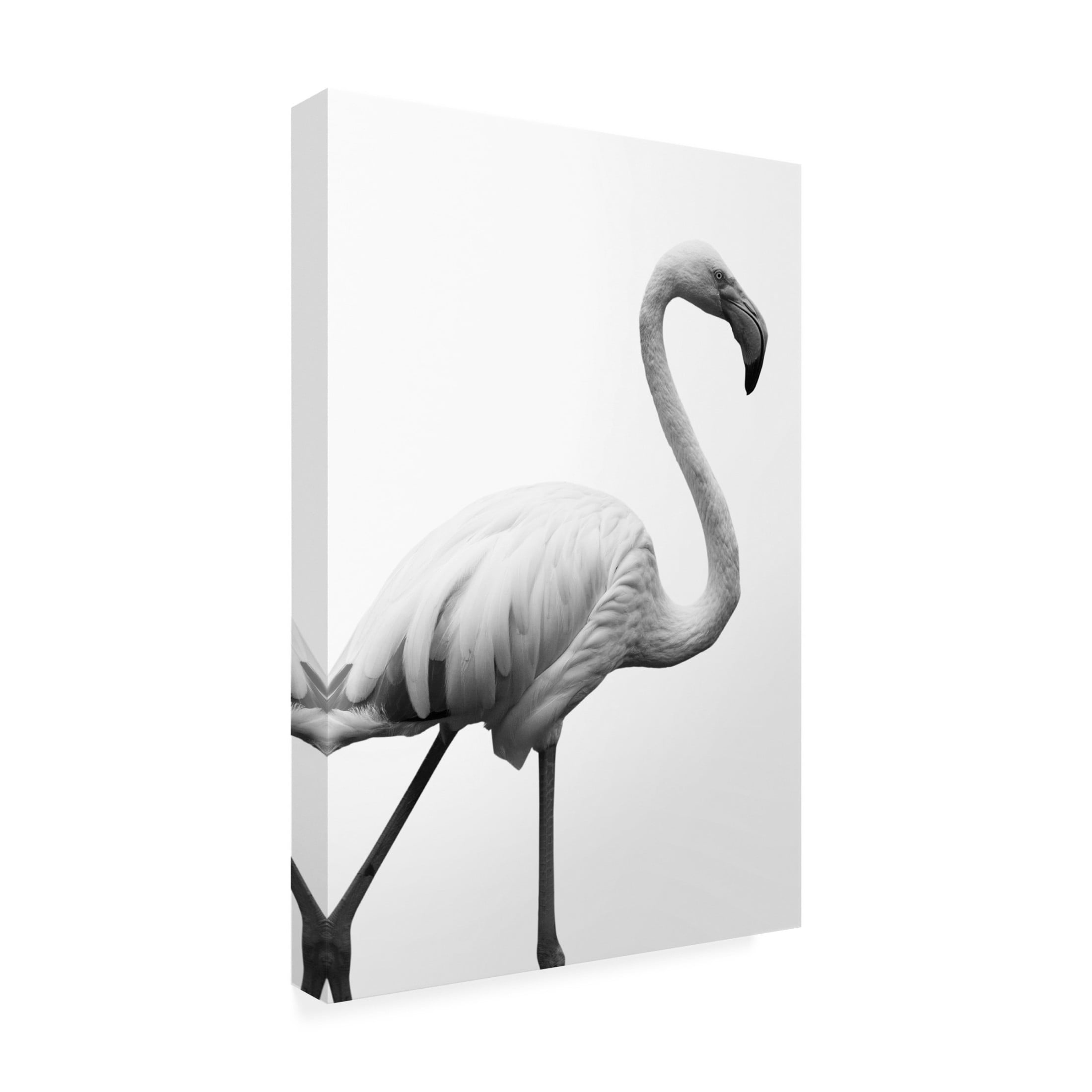 Trademark Fine Art Shot by Clint Dancer Canvas Wall Art