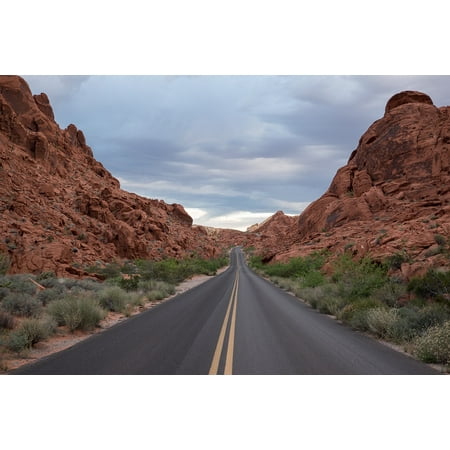Ds3 Frame - Framed Art for Your Wall Green Highway Road Shrub Leaves Travel Adventure 10x13 Frame
