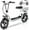 White, variant on Caroma Peak 819W Electric Scooter with Seat for Adults, 374Wh Battery up to 25 Miles&20MPH,14" Fat Tire, Foldable Adult Electric Scooter for Commuting with Basket&Shock Absorbing
