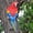 Red, variant on M Buder Parrot Wall Decoration Hanging Bird Decor High Strength Resin Flat Back Design for Garden Statues, Right Side Yellow Color, 13.78 inches / 35 cm