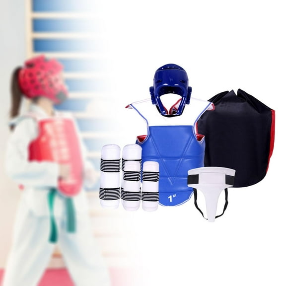 BAOSITY Karate Sparring Gear Set Arm Leg Guards Adjustable Padded Taekwondo Chest Pad Crotch Protector for Mma Martial Art Kickboxing M