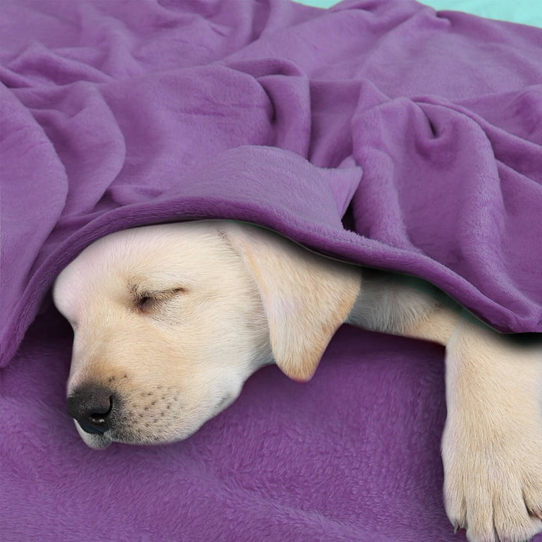 Unique Bargains Fuzzy Plush Flannel Fleece Throw Blanket Dark Purple 78 x  90 - Walmart.com
