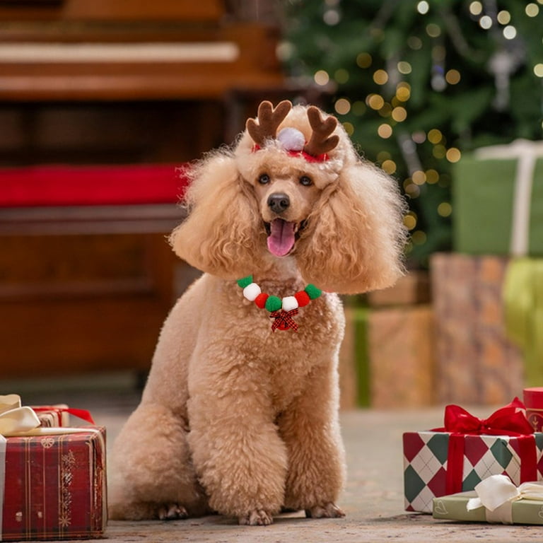 Christmas Cat and Dog Collars Cute Holiday Bowtie Xmas Pet Bow Tie - Main Image