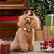 thumbnail image 5 of Adornos navideños, adornos navideños, regalos navideños. Los collares de pelota para mascotas con lazos son adecuados para decoraciones navideñas e invernales para perros pequeños y medianos. Collar d, 5 of 6