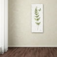 thumbnail image 3 of Trademark Fine Art 'In the Forest VIII' Canvas Art by Katie Pertiet, 3 of 3