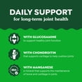 thumbnail image 4 of Greenies Supplements Chicken Flavor Hip and Joint Chews for Dogs, 16.2 oz Tub, 80 Count, 4 of 10