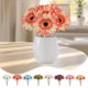 thumbnail image 1 of Set de flores de seda de crisantemo artificial 6 piezas | Ramos decorativos realistas de 10,23 pulgadas | Blanco Naranja Azul Vino Verde Rosa Amarillo | Centro de mesa para bodas en la cocina en, 1 of 6