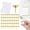 B, variant on 50 Alloy Round Push Pins Push Pins Count In Reusable BoxforBulletin Boards And Wall Displays, 50-Pack Gold Alloy Thumb Tacks, Premium Cork Board Pins, Reusable Push Pin Box