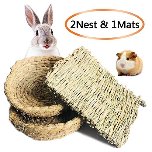 bedding for guinea pigs walmart