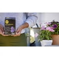 thumbnail image 6 of Miracle-Gro Performance Organics Blooms Plant Nutrition, 1 lb, 6 of 12