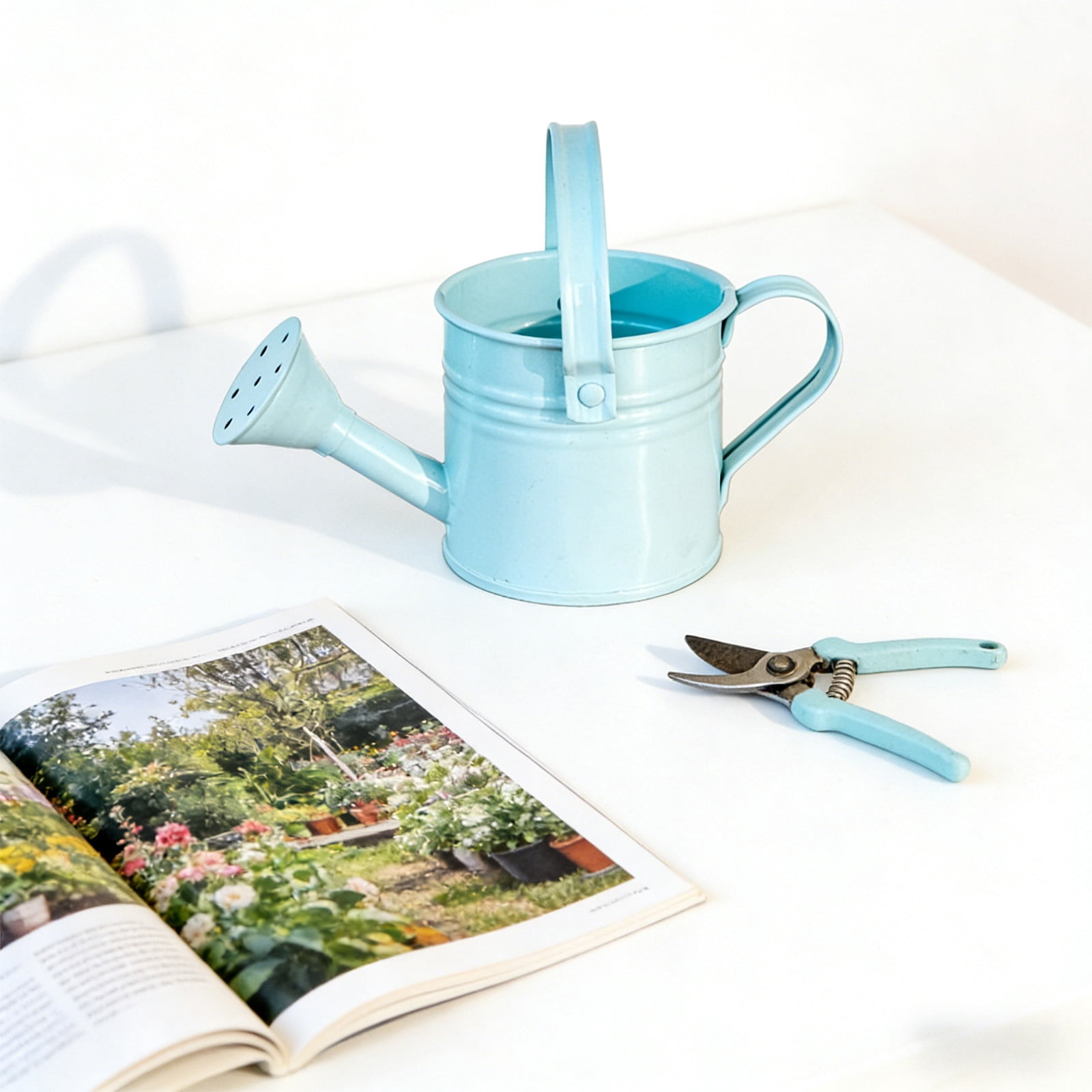 Tusihei Mini Watering Can, Small Cute Iron Watering Can with Sprinkler Head and Handle, Durable Portable Decorative Sprinkling Can for Gardening Succulents Houseplants Bonsai
