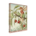 thumbnail image 2 of Trademark Fine Art 'The Cherry Tree Fairy' Canvas Art by Vision Studio, 2 of 3