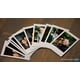 thumbnail image 4 of Película Fujifilm Mini Instant (blanca) para Fujifilm Mini 8, 9, 11, 4 of 5