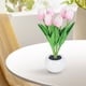 thumbnail image 4 of Luz De Noche De Tulipán Tulip Night Light Lighting Ornaments 300mAh Recargable LED Flower Lamp (Rosa) Likrtyny Para estrenar, 4 of 9