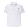 thumbnail image 3 of Men's Casual Collared Polo Shirts Solid Color Short Sleeve Lightweight T-Shirt Classic Golf Shirts, 3 of 5