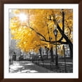 thumbnail image 2 of Art.com Park Pretty II Photographic Print by Assaf Frank, Brown Frame Wall Art, 38" x 38", 2 of 5